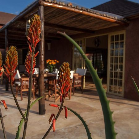 Kili Villa Kilimanjaro Luxury Retreat 아루샤 객실 사진