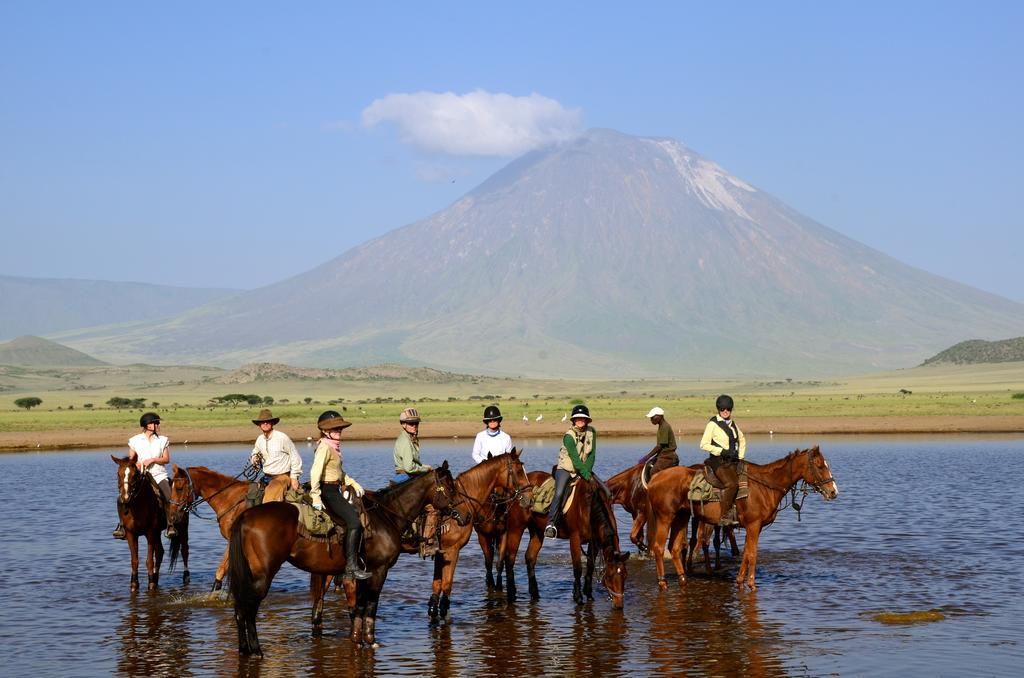 Kili Villa Kilimanjaro Luxury Retreat 아루샤 외부 사진